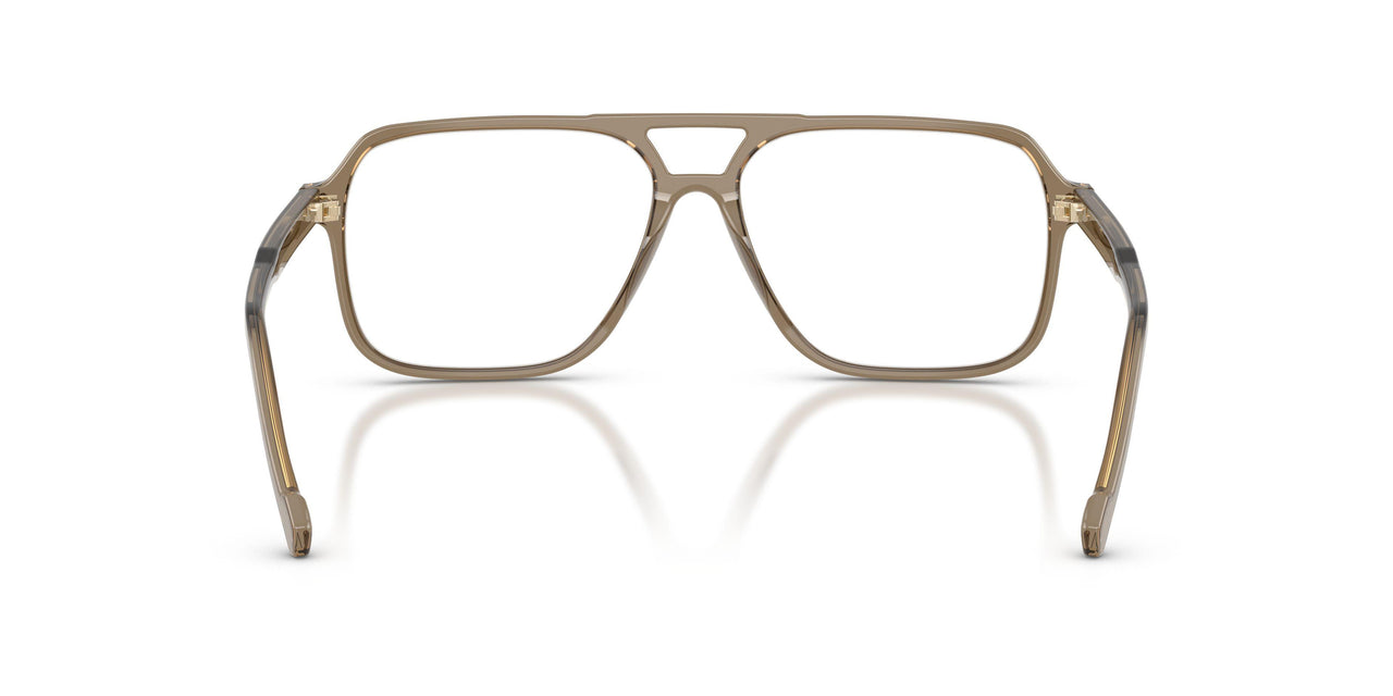 3293 - Brown
