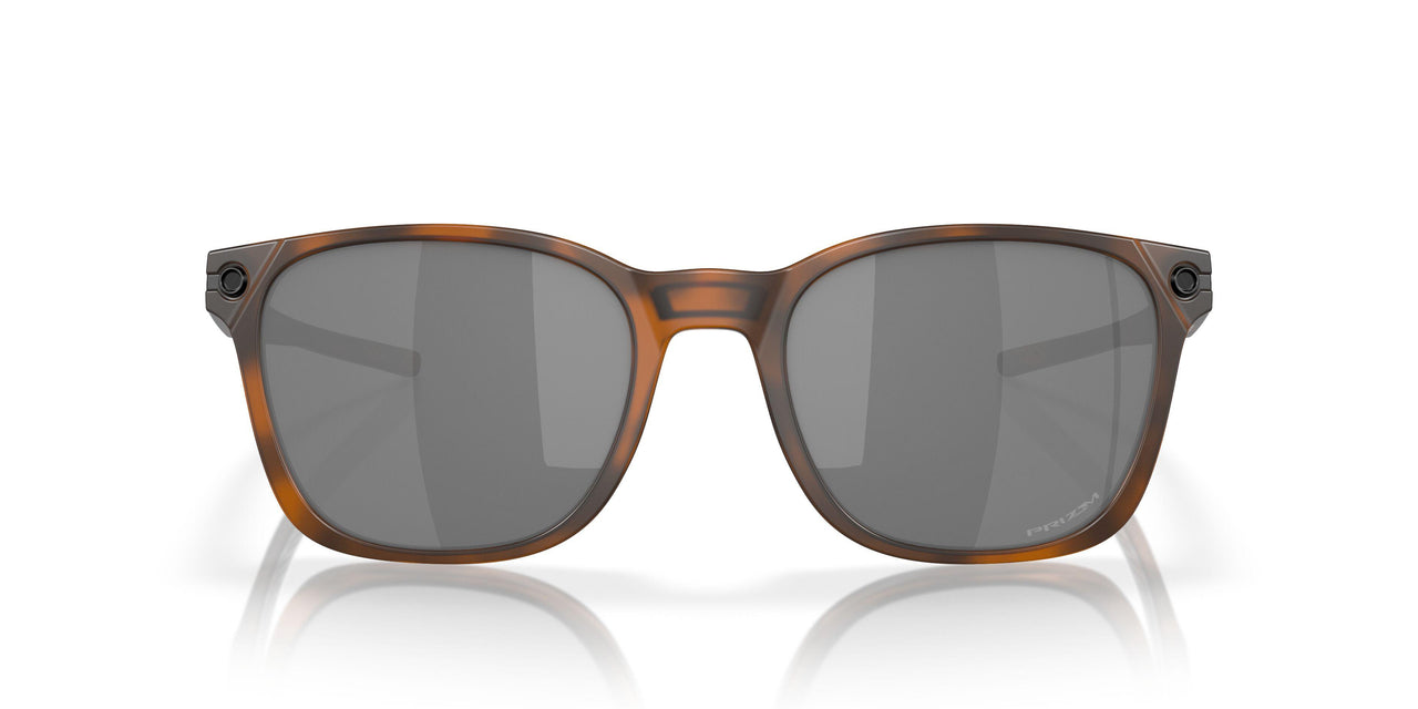 901818 - Brown - Prizm Black