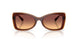 311378 - Brown - Brown Gradient