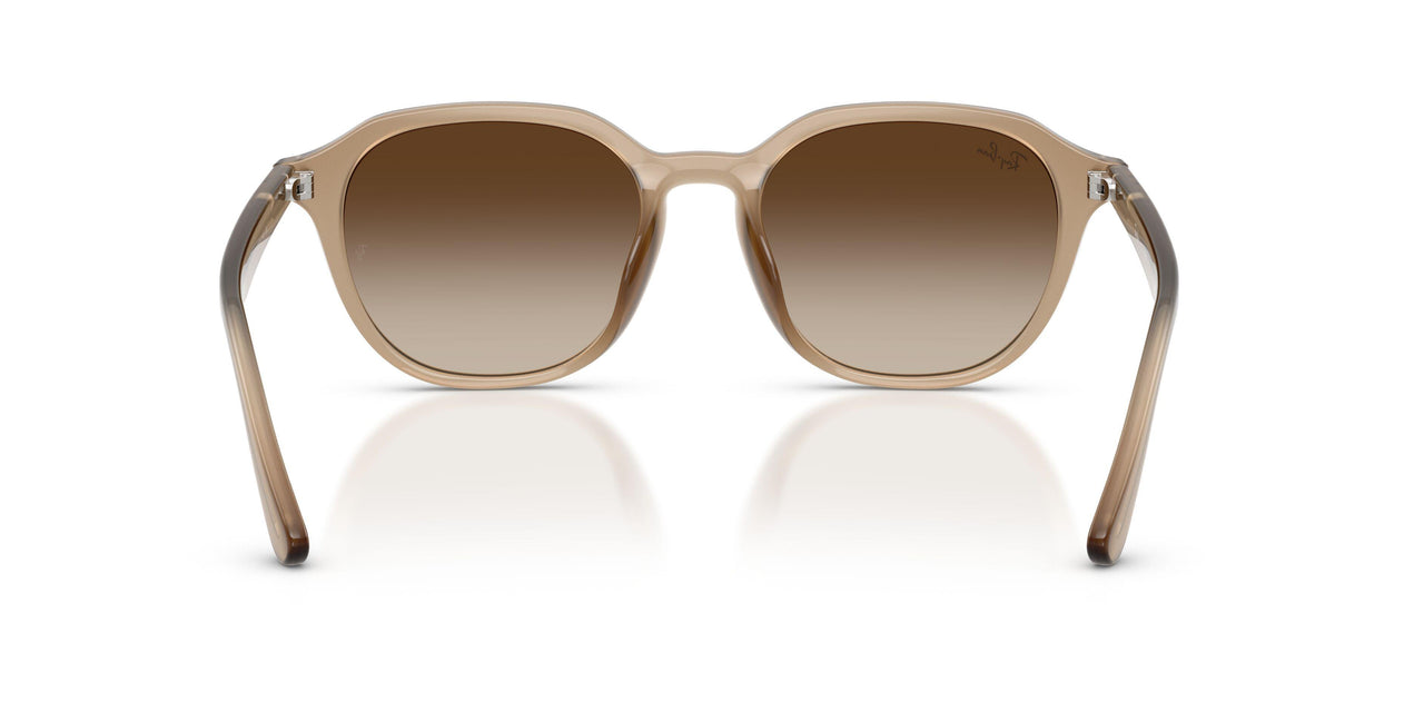 616613 - Beige - Gradient Brown