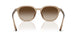 616613 - Beige - Gradient Brown