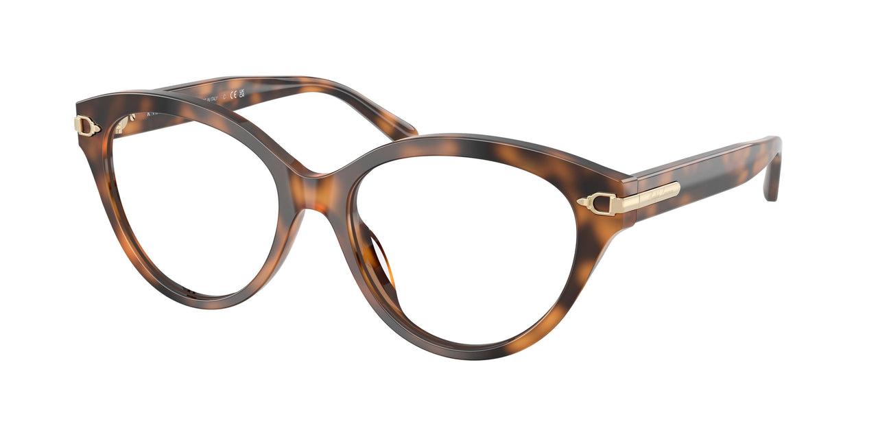 6089 - Tortoise