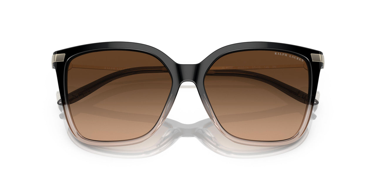 602274 - Black - Brown Gradient