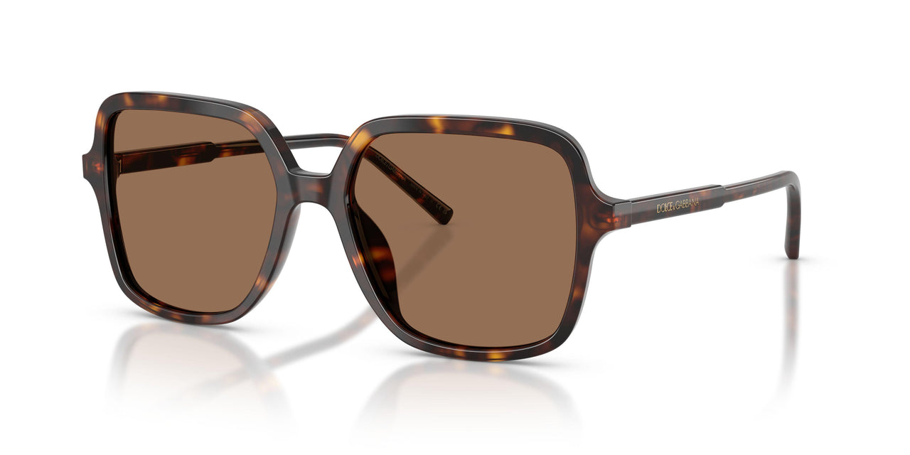 502/73 - Tortoise - Dark Brown