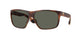 912805 - Tortoise - Gray