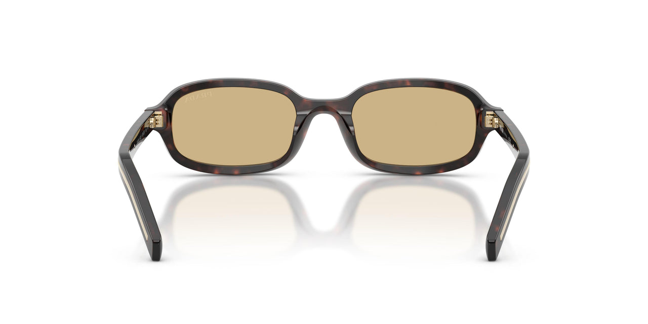17N70R - Tortoise - Light Brown