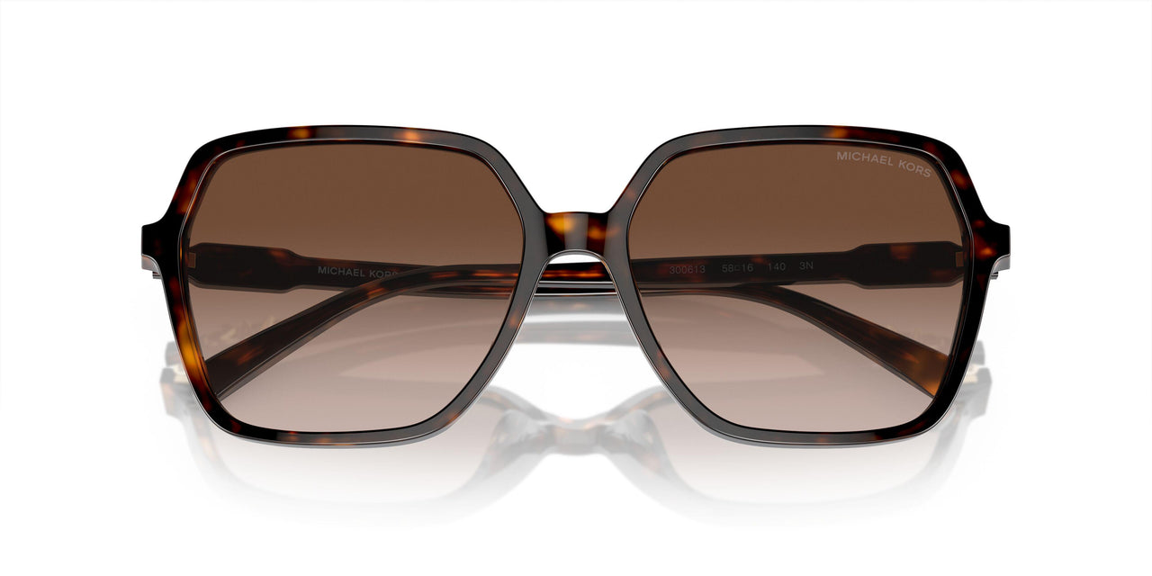 300613 - Tortoise - Brown Gradient