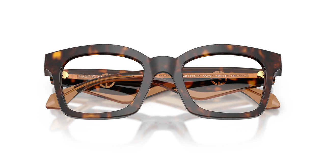 5026 - Tortoise