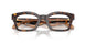 5026 - Tortoise