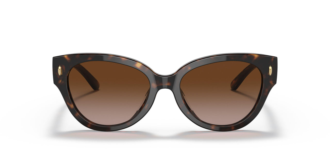 172813 - Havana - Brown Gradient