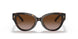 172813 - Havana - Brown Gradient