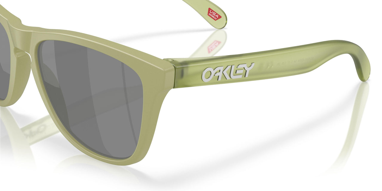 9245E9 - Green - Prizm Black Polarized