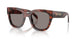 23F80Q - Tortoise - Dark Grey