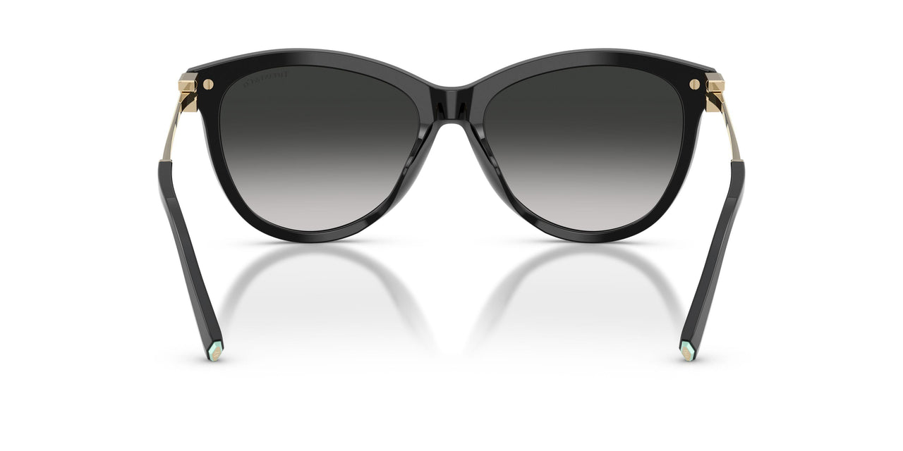 80013C - Black - Grey Gradient