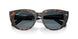 1413S3 - Havana - Blue Gradient Polar