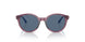 507180 - Violet - Dark Blue