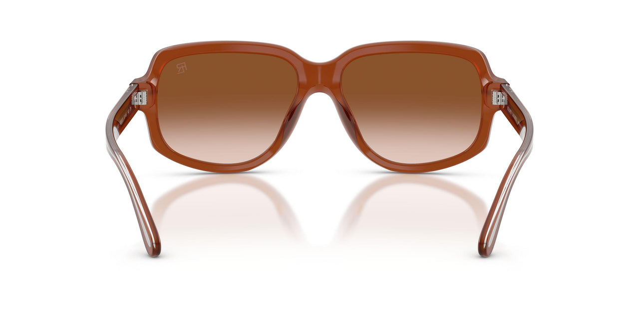 630613 - Brown - Gradient Brown