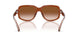 630613 - Brown - Gradient Brown