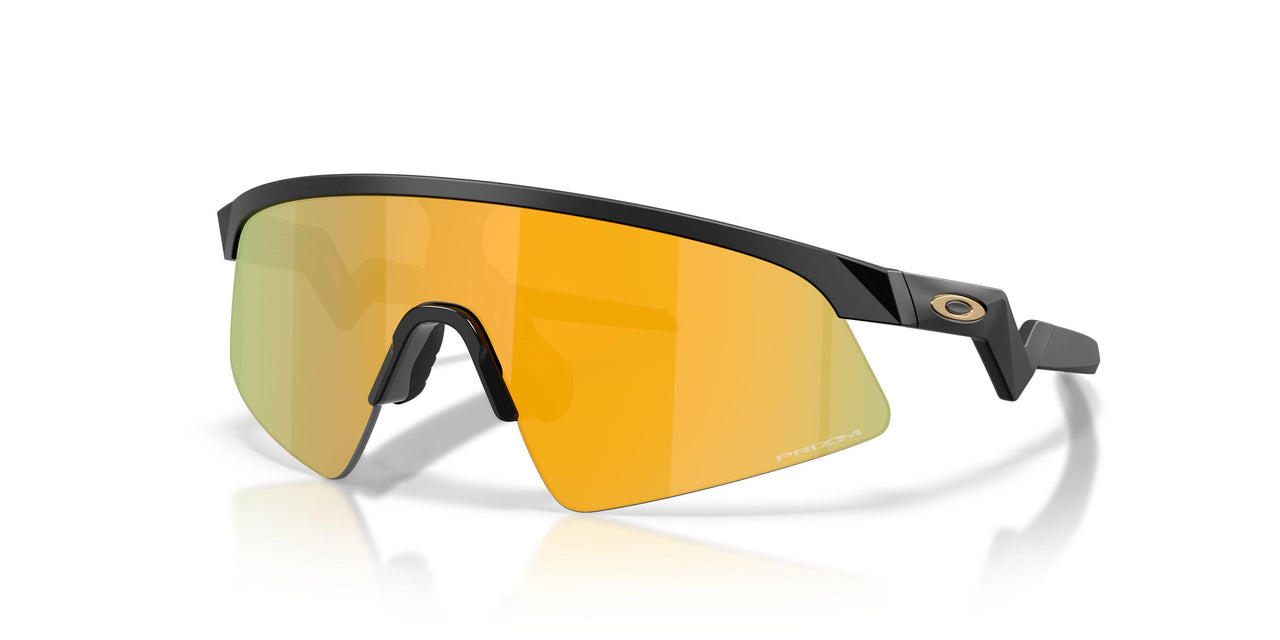 901510 - Black - Prizm 24k