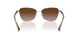 949213 - Silver - Gradient Brown
