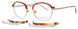 Prodesign SWITCH2 Eyeglasses