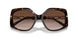 300613 - Havana - Brown Gradient