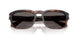 24/B1 - Tortoise - Dark Grey