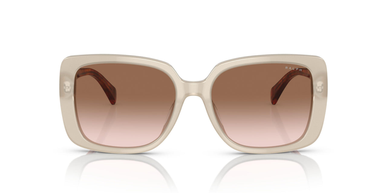 606113 - Brown - Gradient Brown