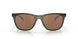 947309 - Green - Prizm Tungsten Polarized