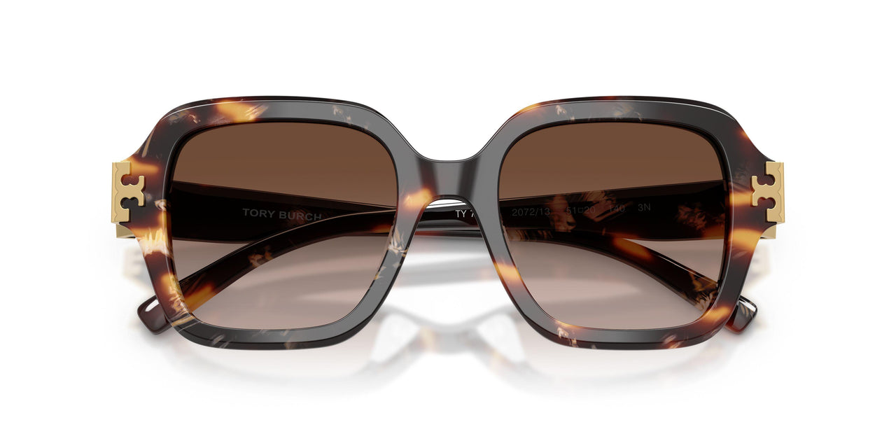 207213 - Tortoise - Brown Gradient
