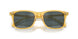 50053R - Tortoise - Dark Grey Mirror Green