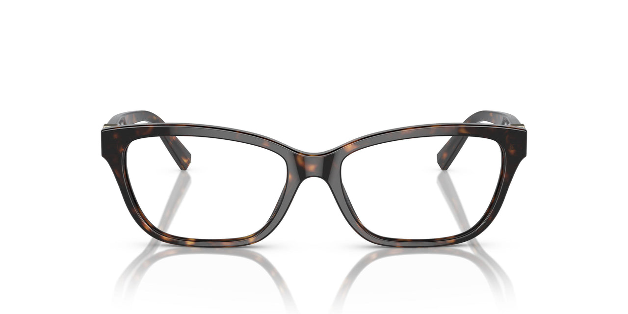 8015 - Tortoise