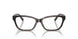 8015 - Tortoise