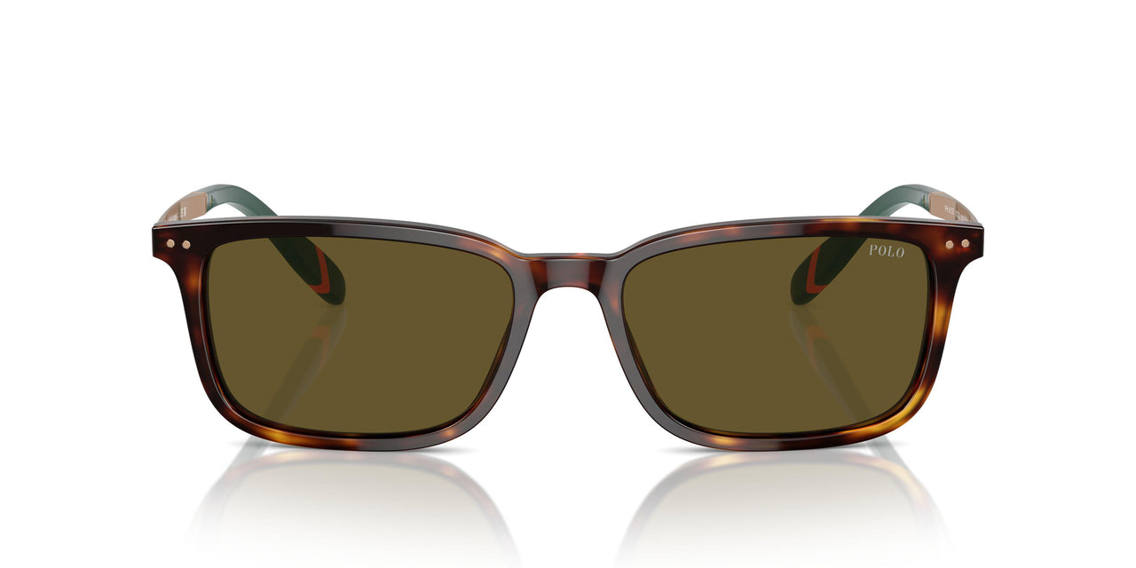 613773 - Tortoise - Olive Green