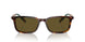 613773 - Tortoise - Olive Green