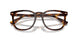 613773 - Tortoise - Brown