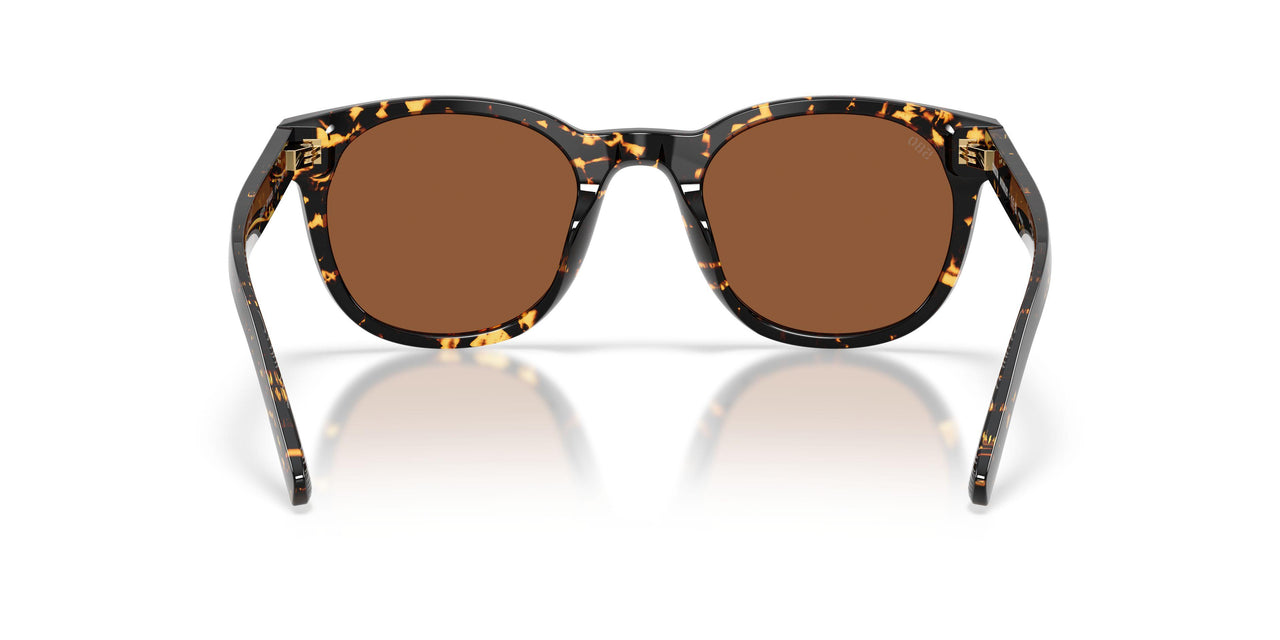 201802 - Tortoise - Copper