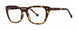 MODERN PLASTICS I IMMERSE Eyeglasses