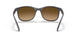 6600M2 - Brown - Brown Gradient Polar