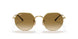 001/51 - Gold - Brown