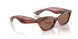 172573 - Red - Brown