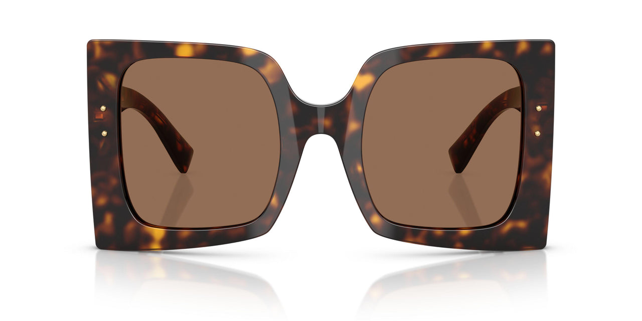 502/73 - Tortoise - Dark Brown