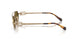 7OE09Z - Gold - Dark Brown