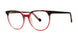 Modern Plastics II REVIVAL Eyeglasses