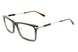 C2 - Brown Gold