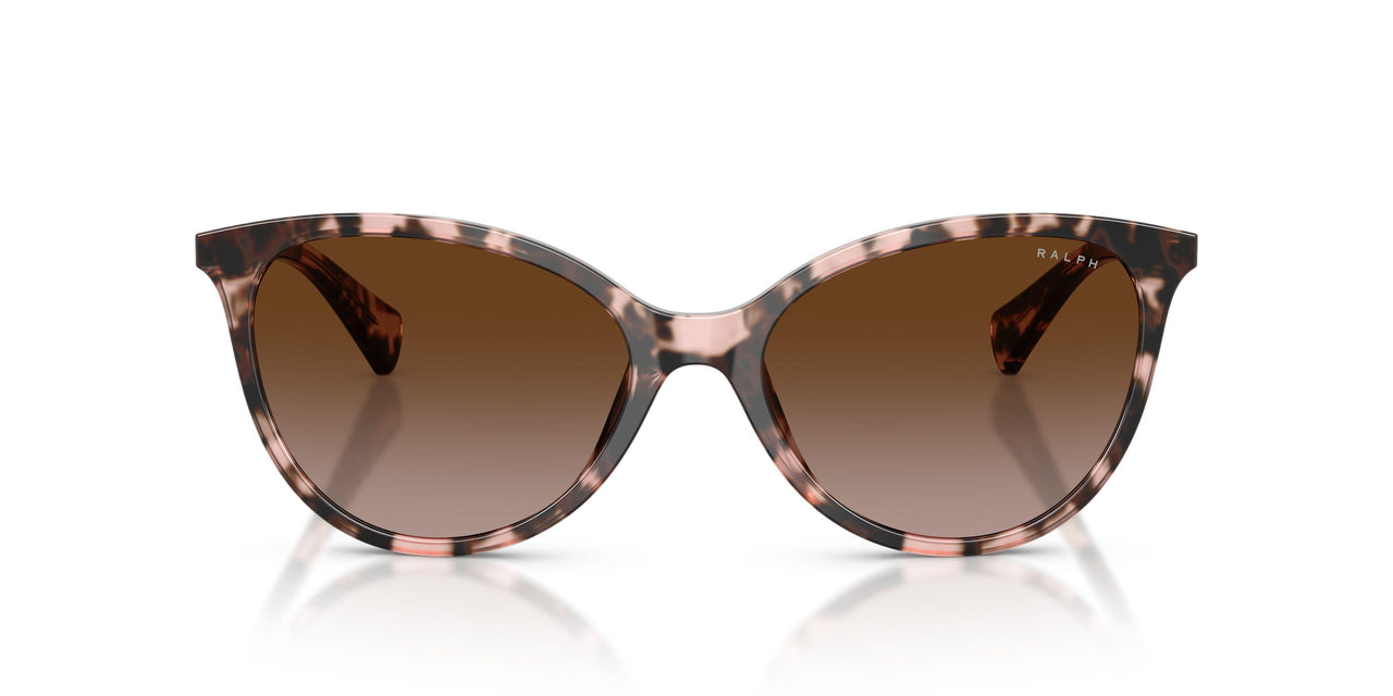 605813 - Tortoise - Gradient Brown
