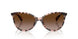 605813 - Tortoise - Gradient Brown