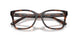 6241 - Tortoise