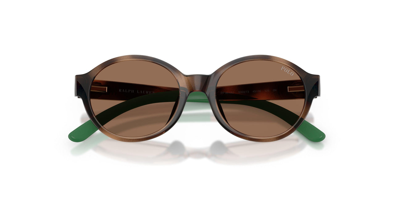 500373 - Tortoise - Dark Brown