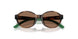 500373 - Tortoise - Dark Brown
